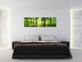 Obraz - Świt w lesie (170x50 cm)