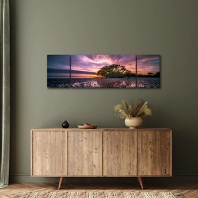 Obraz drzewa na plaży (170x50 cm)