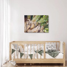 Obraz na szkle wiewiórki na drzewie (70x50 cm)