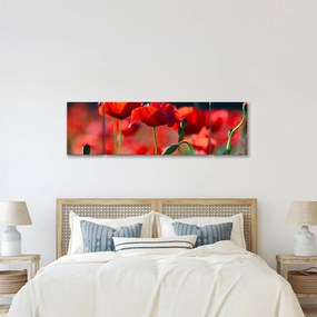 Obraz - maki (170x50 cm)