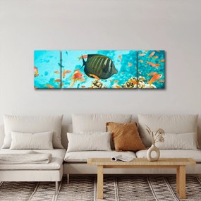Obraz podwodnego świata (170x50 cm)