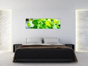 Obraz mięty (170x50 cm)