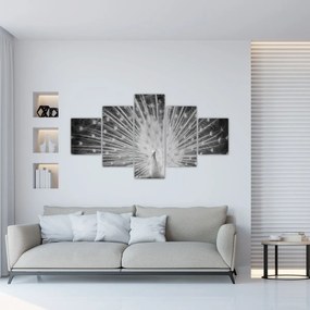 Obraz - Biały paw (125x70 cm)