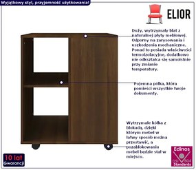 Kontener Do Biurka W Kolorze Brązowego Dębu T6-S29