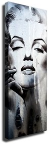 Obraz na płótnie Marilyn, 30x80 cm