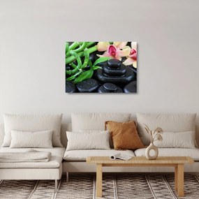 Obraz na szkle - Kamienie i orchidee (70x50 cm)