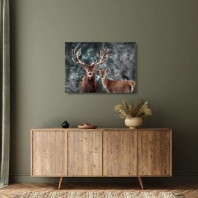 Obraz na szkle - Jeleń i łania w zaśnieżonym lesie (70x50 cm)