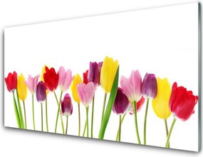 Panel Kuchenny Wiosenna Kompozycja Tulipanów