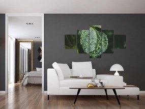 Obraz - krople na liściu (125x70 cm)