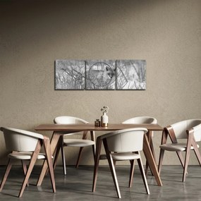 Obraz - Lis, czarno - biały (z zegarem) (90x30 cm)