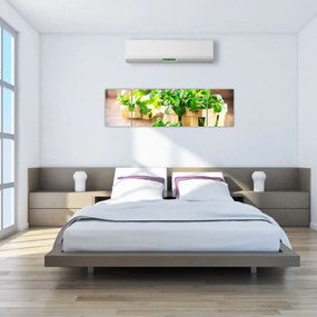 Obraz świeżej mięty (170x50 cm)