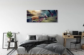 Fotoobraz na płótnie Sprzęt Piłkarski Na Murawie