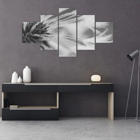 Obraz - Mlecz (125x70 cm)