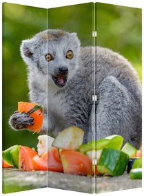 Parawan - Lemur (126x170 cm)