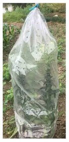 Plandeka ogrodowa 5 szt. – Garden Pleasure