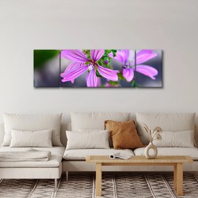 Zbliżenie kwiatu (170x50 cm)