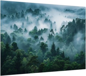 Obraz na szkle - Las we mgle (70x50 cm)