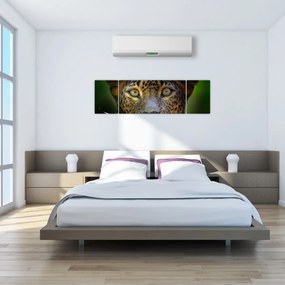 Obraz - Portret lamparta, Sri Lanka (170x50 cm)