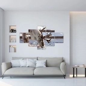 Obraz - Sat (125x70 cm)