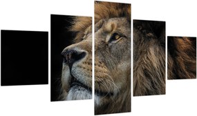 Obraz - Majestatyczny lew (125x70 cm)