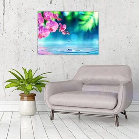 Obraz na szkle - Orchidea (70x50 cm)