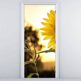 Fototapeta na drzwi - Słonecznik (95x205cm)