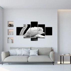 Obraz czarno - białego łabędzia (125x70 cm)