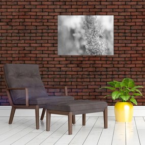 Obraz - Trawa pampasowa Boho (70x50 cm)