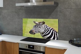 Szklany Panel Zebra w Naturalnym Środowisku