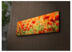Podświetlany obraz Sean, 90x30 cm