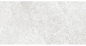 Mexen Lizard Silver gres szkliwiony rekt. G1, płytka podłogowo-ścienna 120 x 60 cm, połysk - TL109-120-060-03