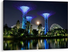 Obraz przedstawiający pełnię księżyca w ogrodach Singapuru (70x50 cm)