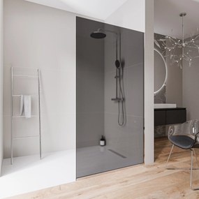 Ścianka prysznicowa Walk-In EX102-2 bezpieczne szkło szare Nano 10mm