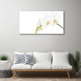 Obraz canvas Letni Ogród Botaniczny