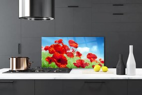 Panel Szklany Maki w Porannej Rosie