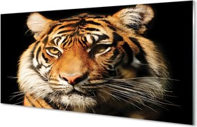 Panel szklany do Kuchni Skradający się Drapieżnik