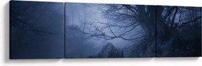 Obraz ciemnego lasu (170x50 cm)