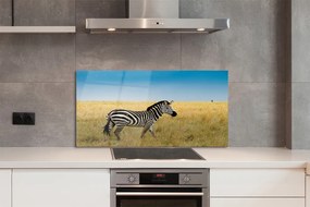 Panel nad Blat Kuchenny Samotna Zebra na Polu