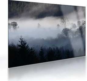 Obraz na szkle mgły nad lasem (70x50 cm)