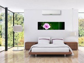 Obraz kwiatu róży (170x50 cm)
