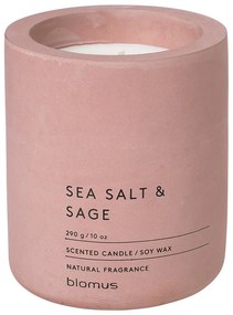 Zapachowa sojowa świeca czas palenia 55 h Fraga: Sea Salt and Sage – Blomus