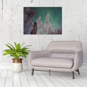 Obraz na szkle zorzy polarnej nad zamarzniętymi drzewami (70x50 cm)