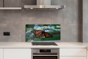 Panel Szklany Motyl Spijający Nektar