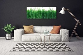 Obraz canvas Naturalna Świeżość Trawy