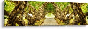 Obraz - Żywy tunel plumerii (170x50 cm)