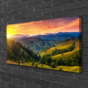 Obraz canvas Egzotyczny Kwiat Plumerii