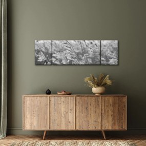 Obraz - Trawa na wietrze (170x50 cm)