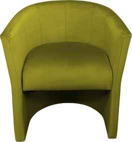 Fotel CLUB tkanina Welur elegancki fotel tapicerowany do salonu i gabinetu : Kolor tkaniny - VELVET - BL75
