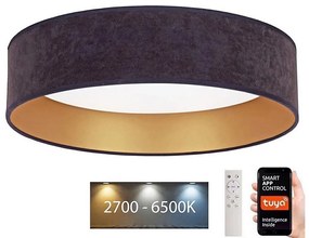 Brilagi - LED Ściemnialne oświetlenie VELVET SMART LED/24W/230V Wi-Fi Tuya + pilot