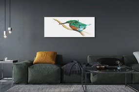 Zdjęcie na płótnie Malowana Kolorowa Papuga